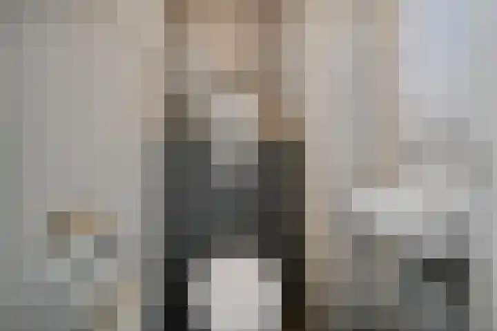 Vinkenslag 12 Woensdrecht thumbnail 7