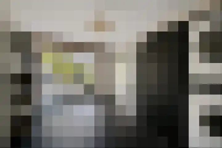Vinkenslag 12 Woensdrecht thumbnail 8