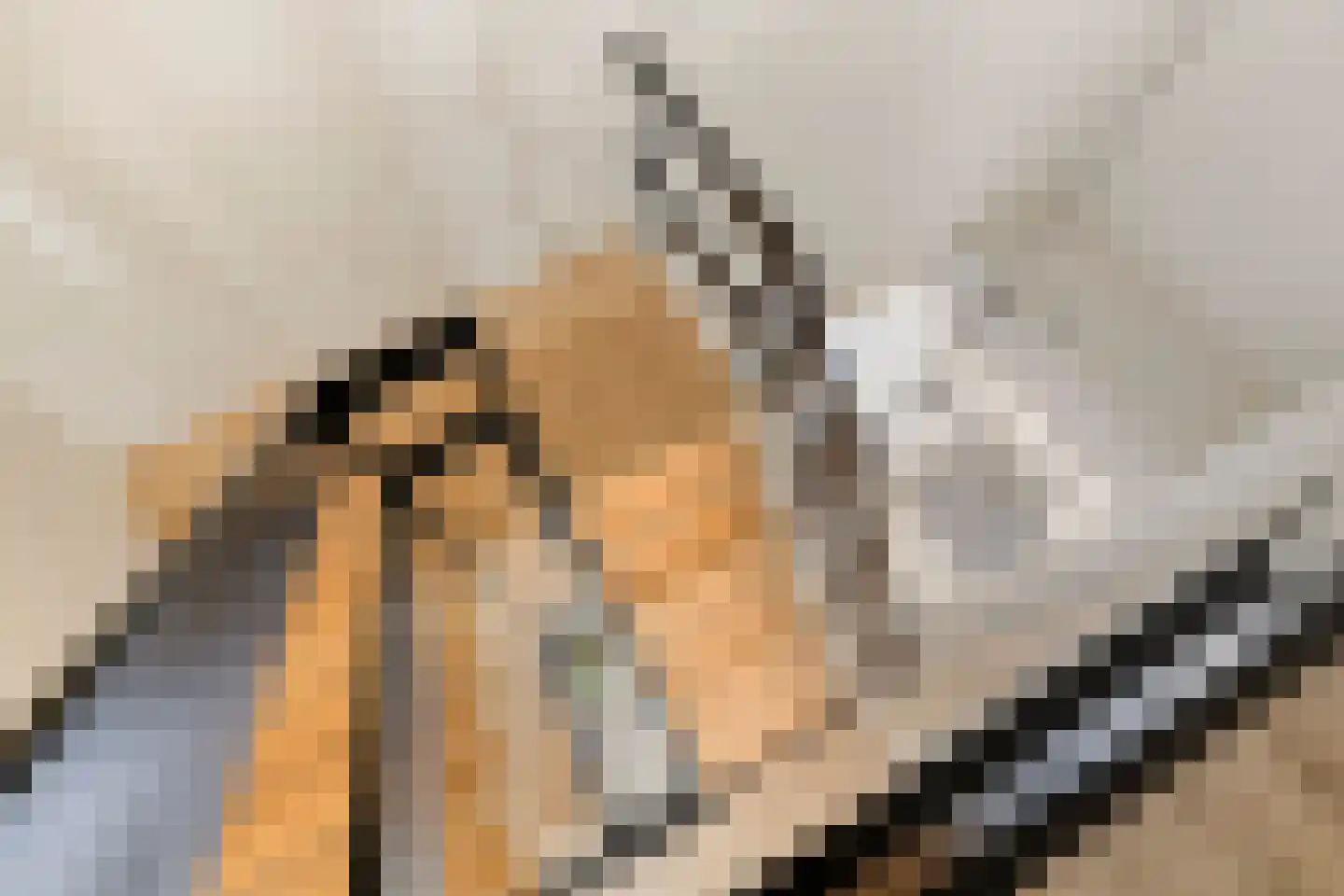 Vinkenslag 20 Oosterhout thumbnail 14