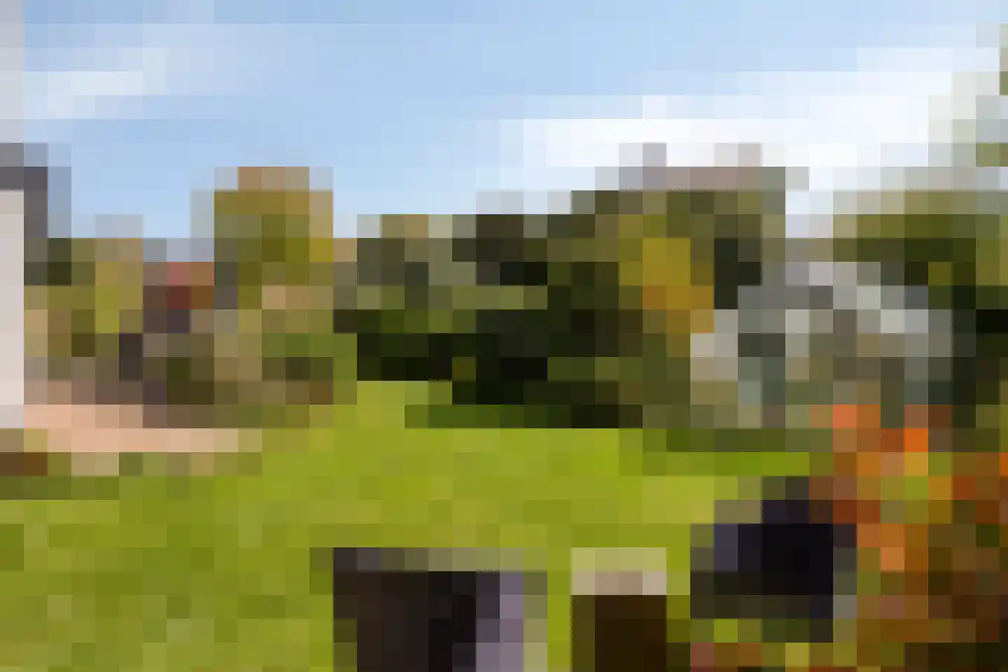 Vinkenslag 20 Oosterhout thumbnail 24
