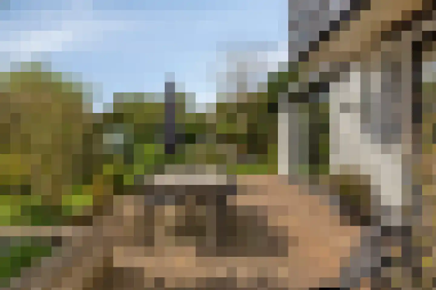 Vinkenslag 20 Oosterhout thumbnail 25