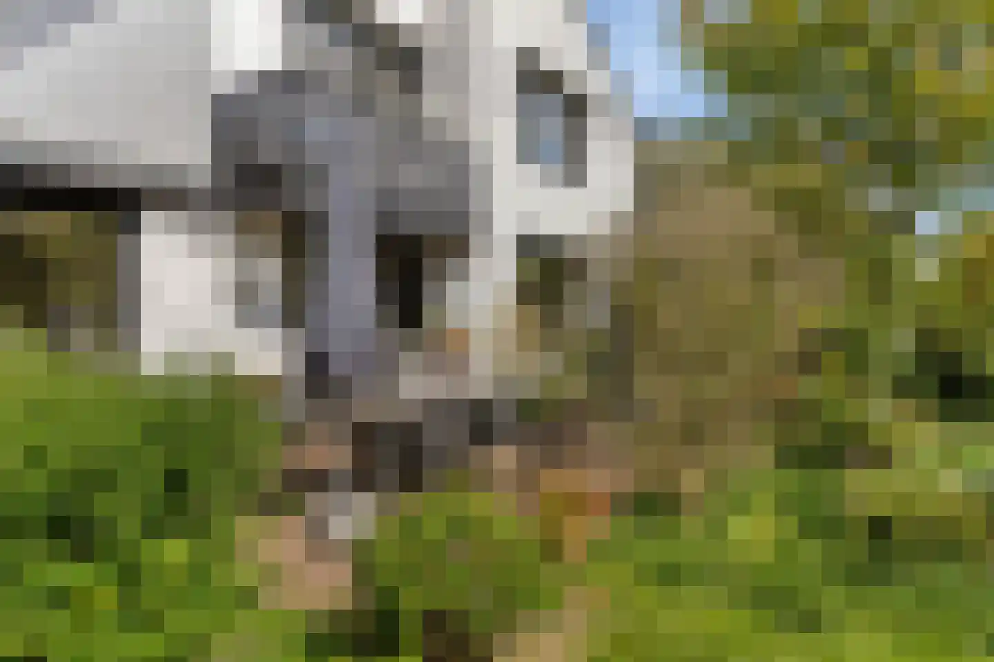 Vinkenslag 20 Oosterhout thumbnail 27