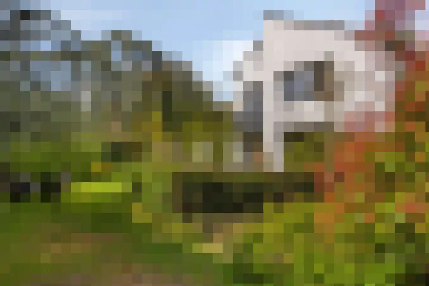 Vinkenslag 20 Oosterhout thumbnail 28