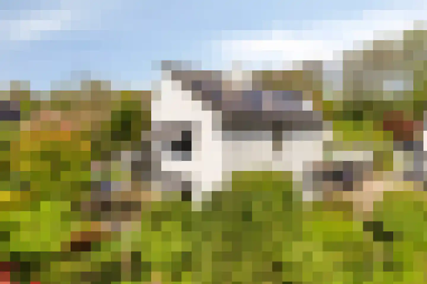 Vinkenslag 20 Oosterhout thumbnail 29