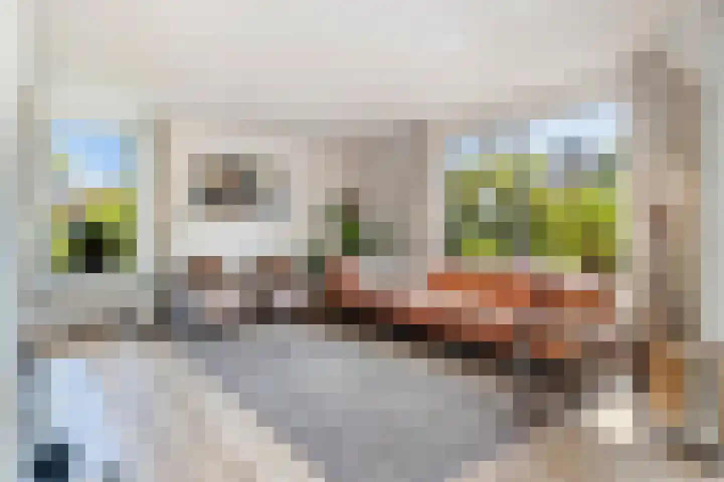 Vinkenslag 20 Oosterhout thumbnail 6