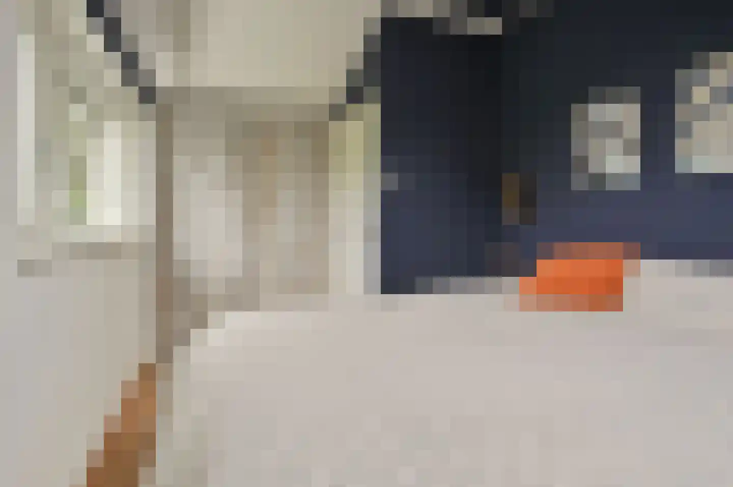 Vinkenslag 3 de Hoef thumbnail 16