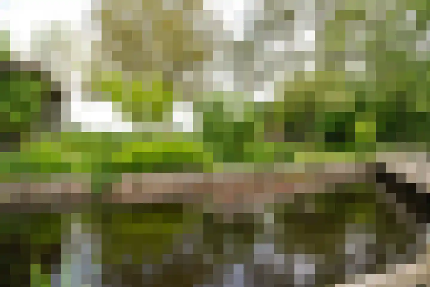 Vinkenslag 3 de Hoef thumbnail 20
