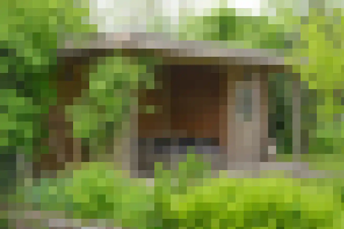 Vinkenslag 3 de Hoef thumbnail 22