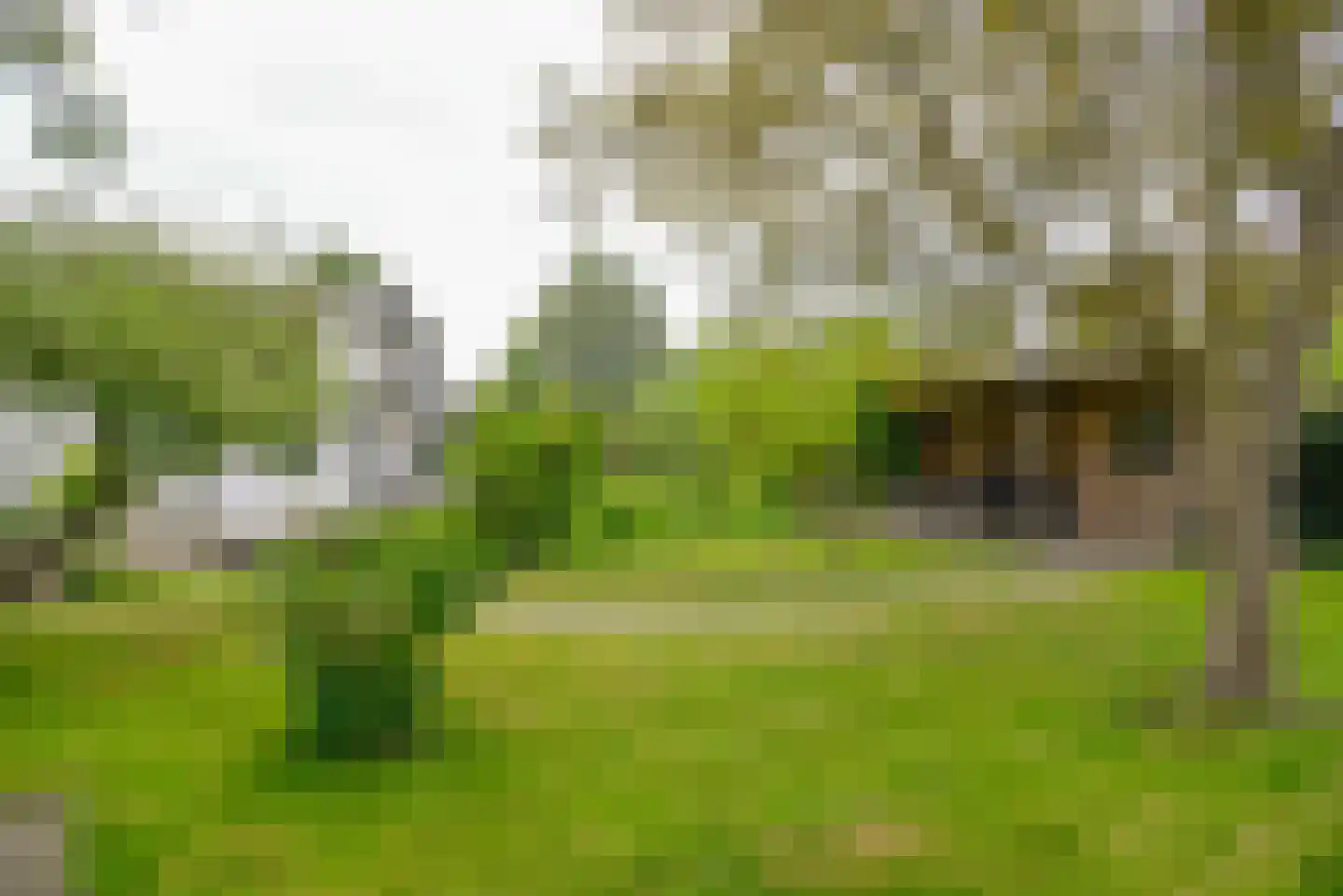 Vinkenslag 3 de Hoef thumbnail 25