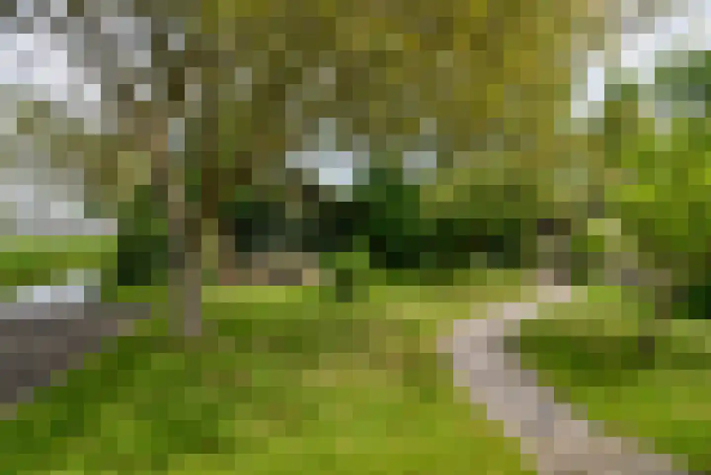 Vinkenslag 3 de Hoef thumbnail 26