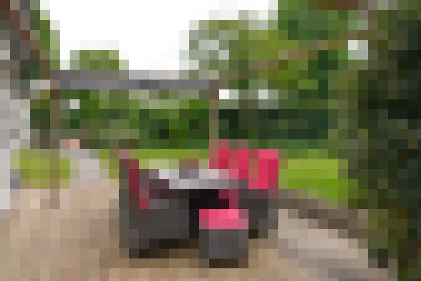 Vinkenslag 3 de Hoef thumbnail 27
