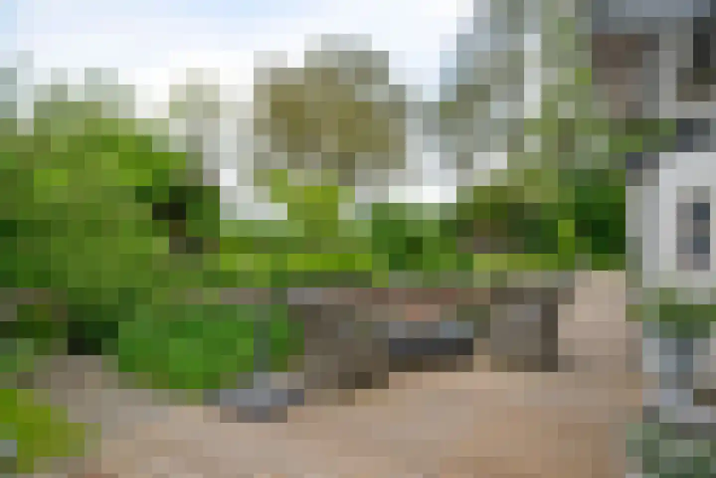 Vinkenslag 3 de Hoef thumbnail 28