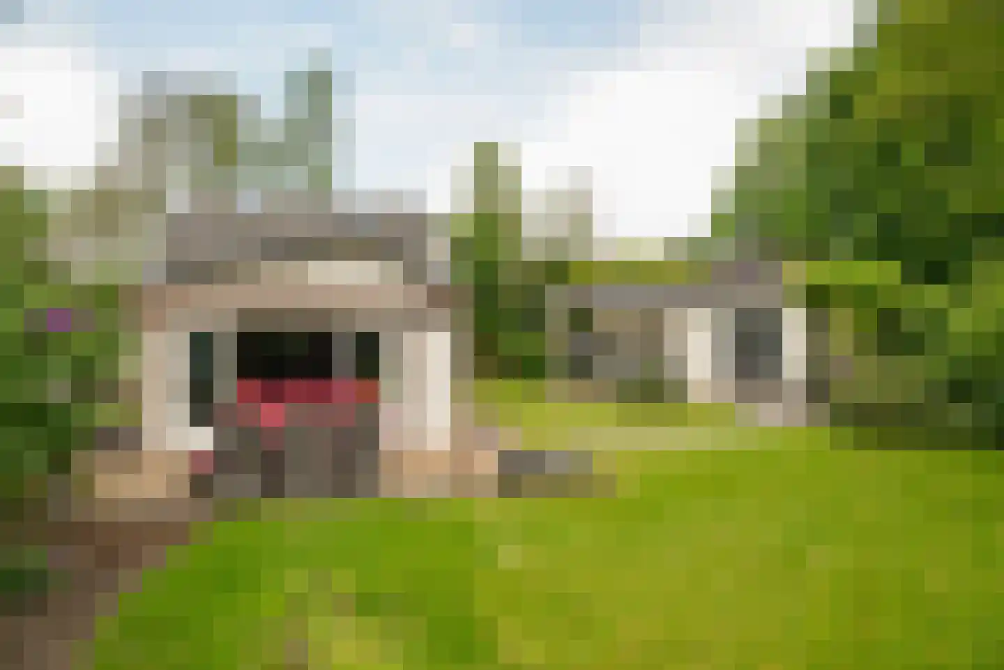 Vinkenslag 3 de Hoef thumbnail 29