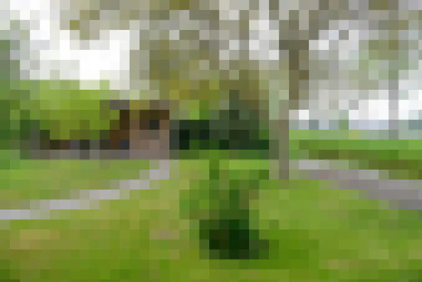 Vinkenslag 3 de Hoef foto 3