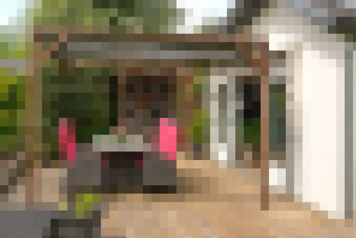 Vinkenslag 3 de Hoef thumbnail 30