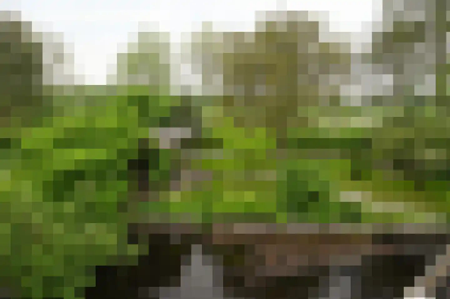 Vinkenslag 3 de Hoef thumbnail 32