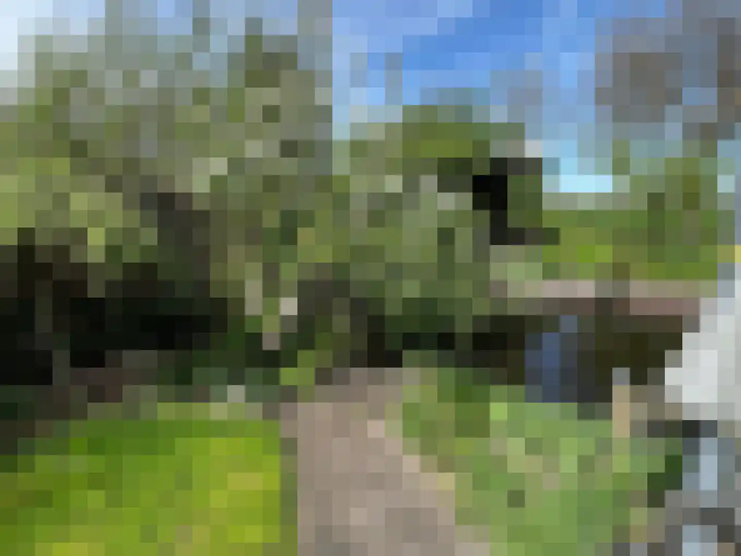 Vinkenslag 3 de Hoef thumbnail 33