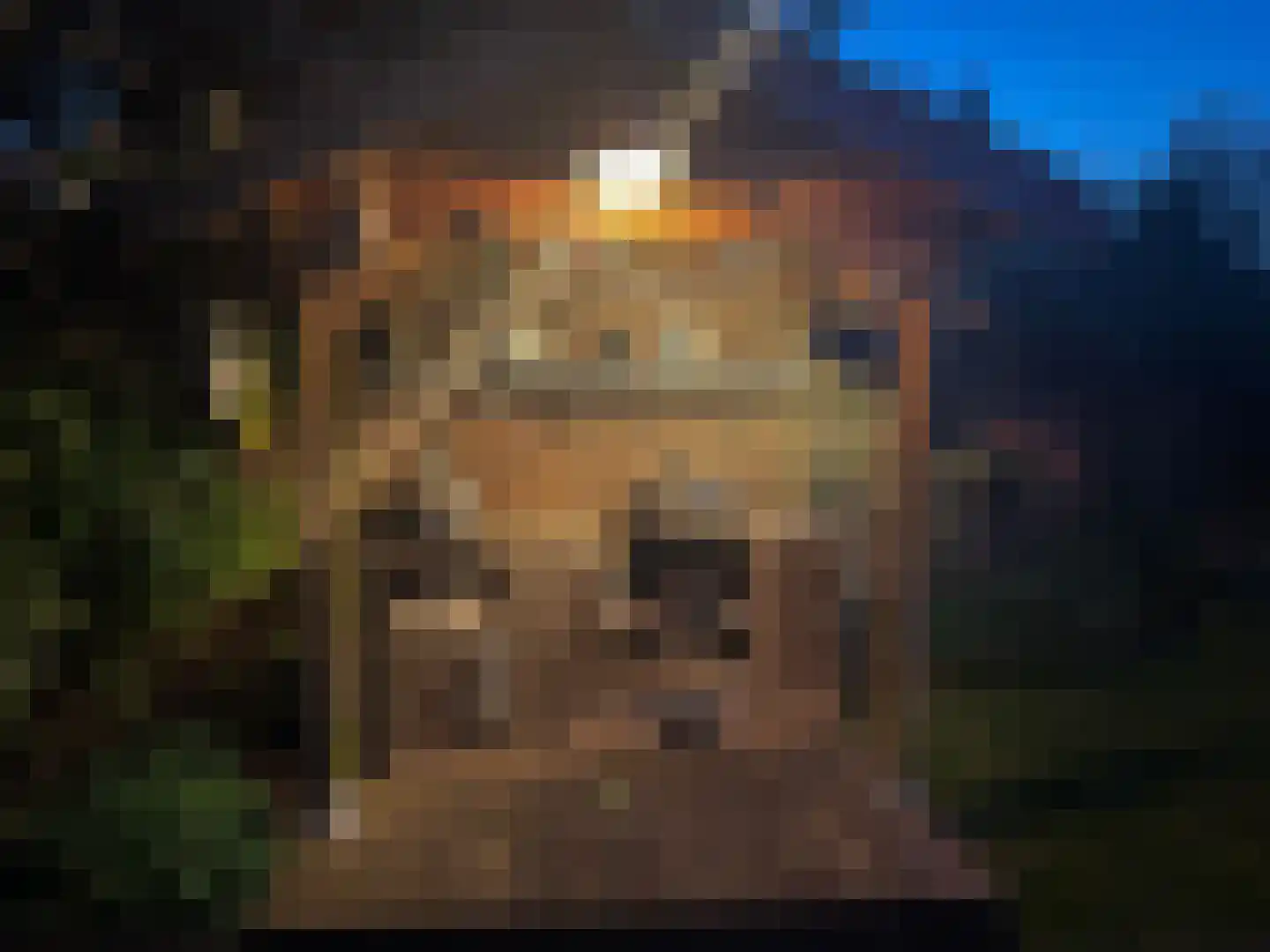Vinkenslag 3 de Hoef thumbnail 38