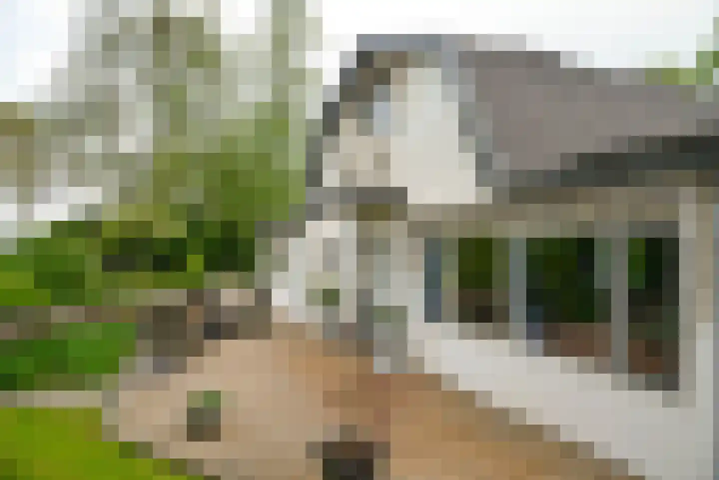 Vinkenslag 3 de Hoef thumbnail 5