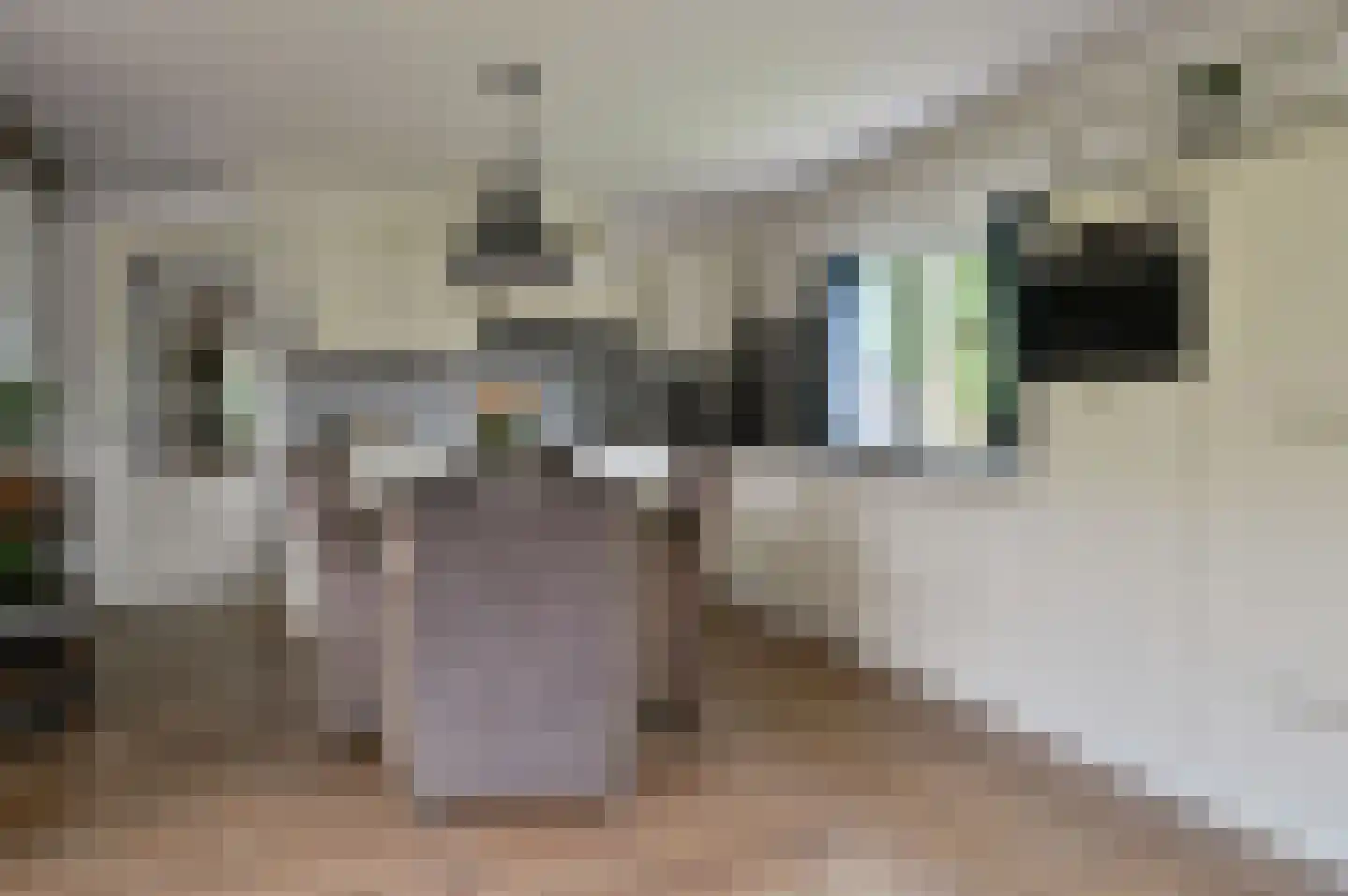 Vinkenslag 3 de Hoef thumbnail 9