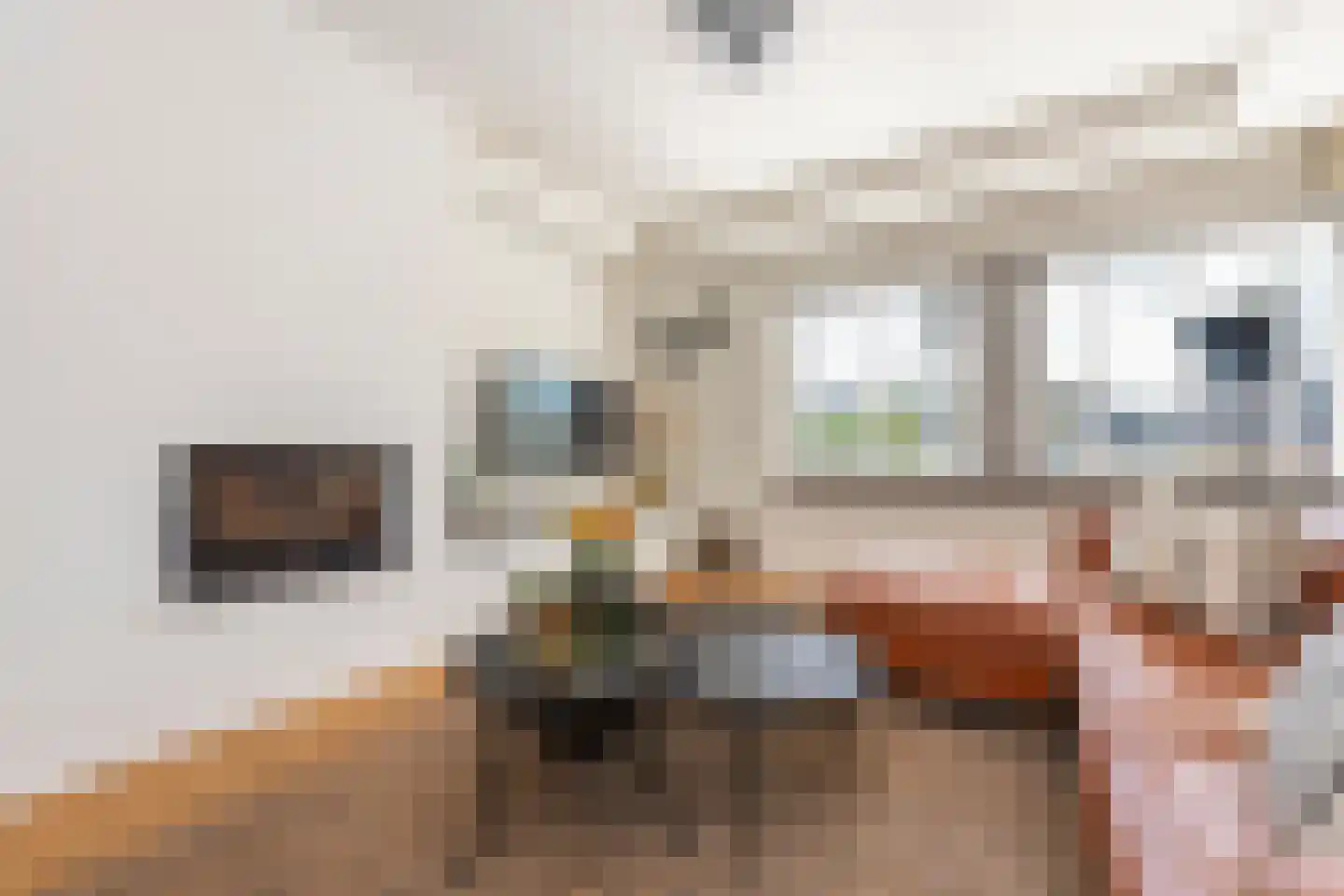 Vinkenslag 3 Hilvarenbeek thumbnail 11