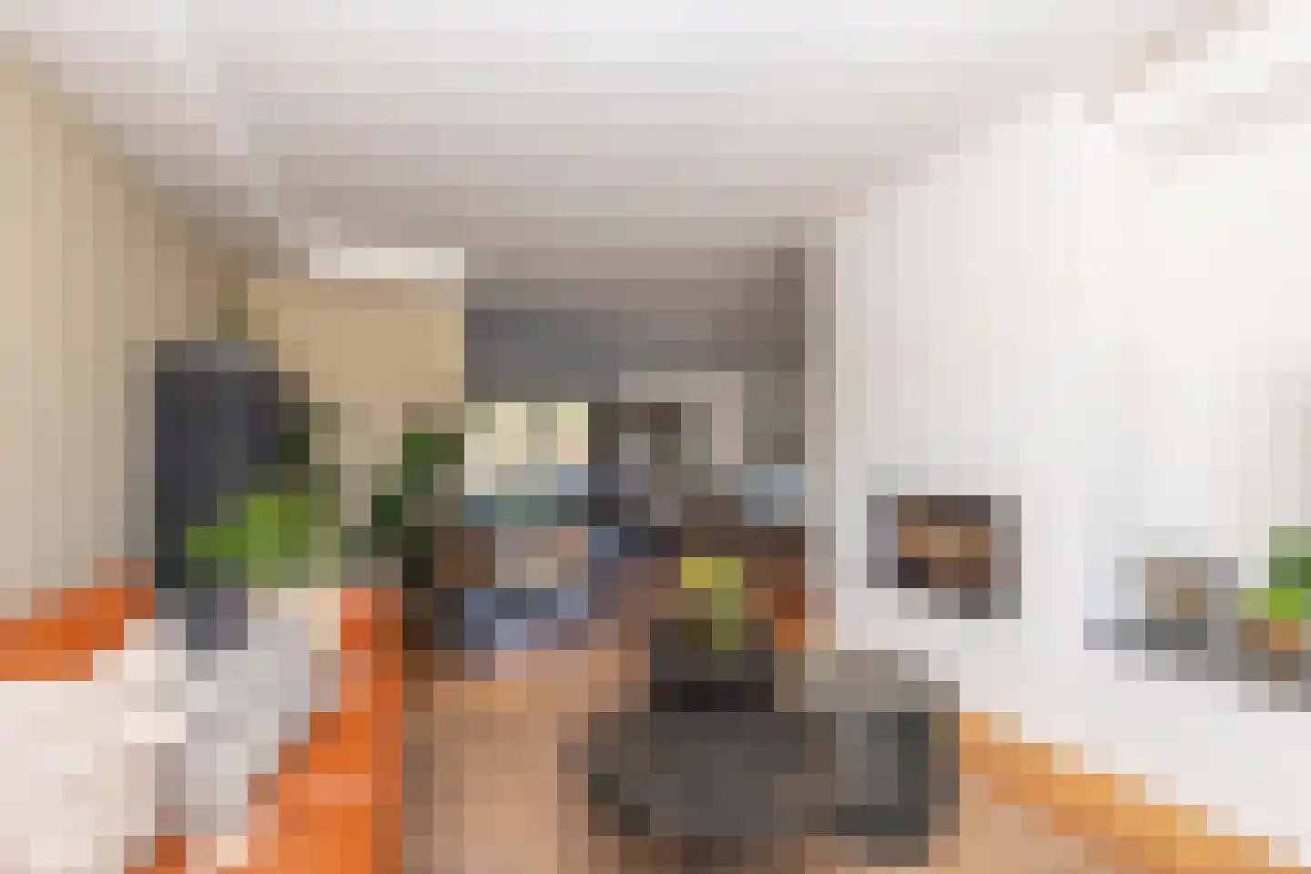 Vinkenslag 3 Hilvarenbeek thumbnail 12