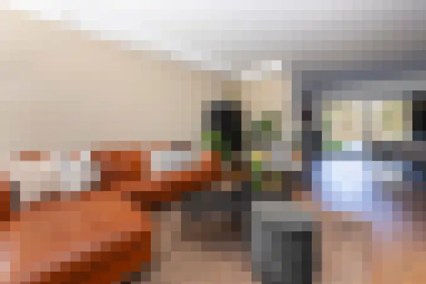 Vinkenslag 3 Hilvarenbeek thumbnail 13