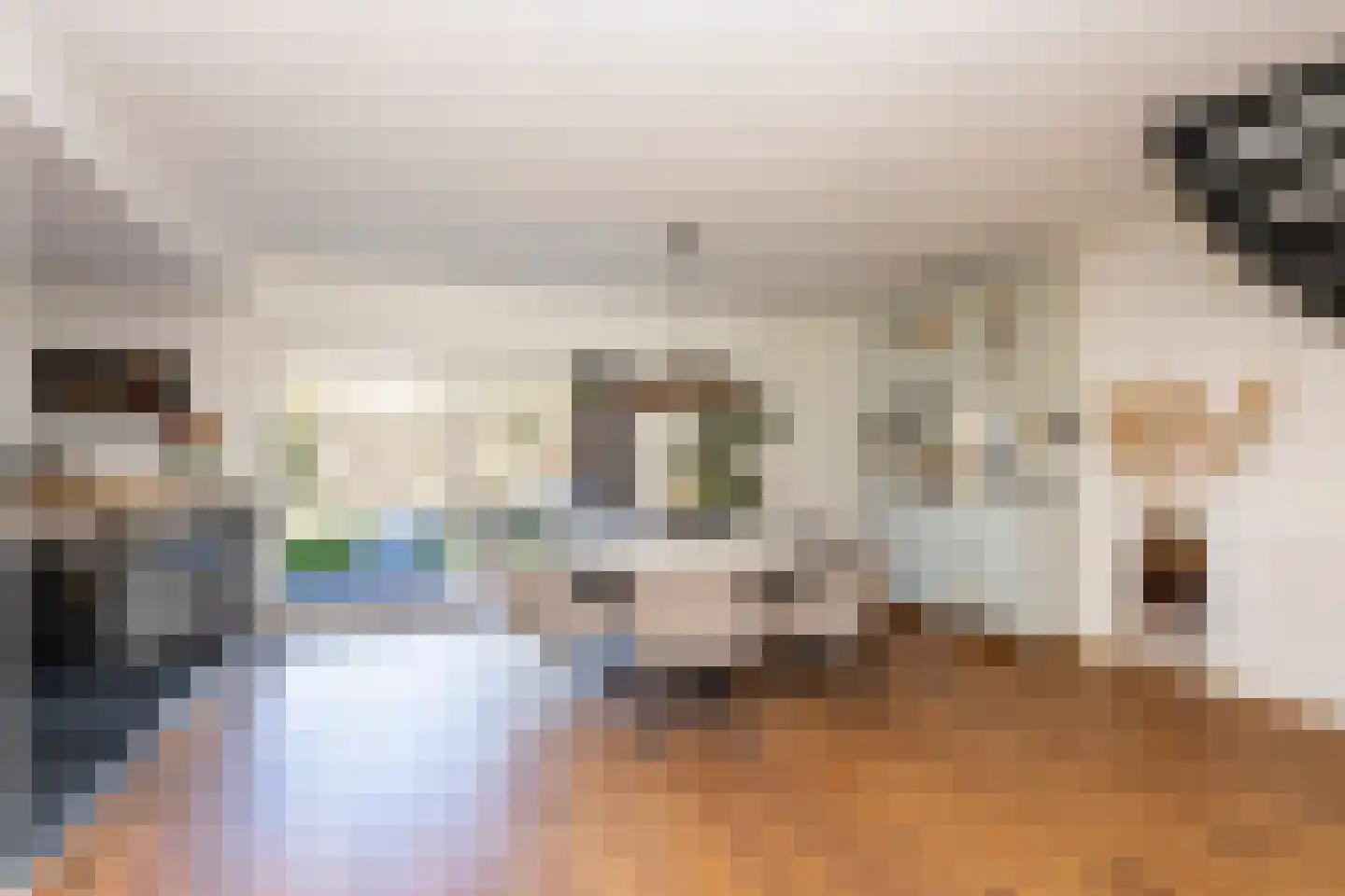 Vinkenslag 3 Hilvarenbeek thumbnail 14