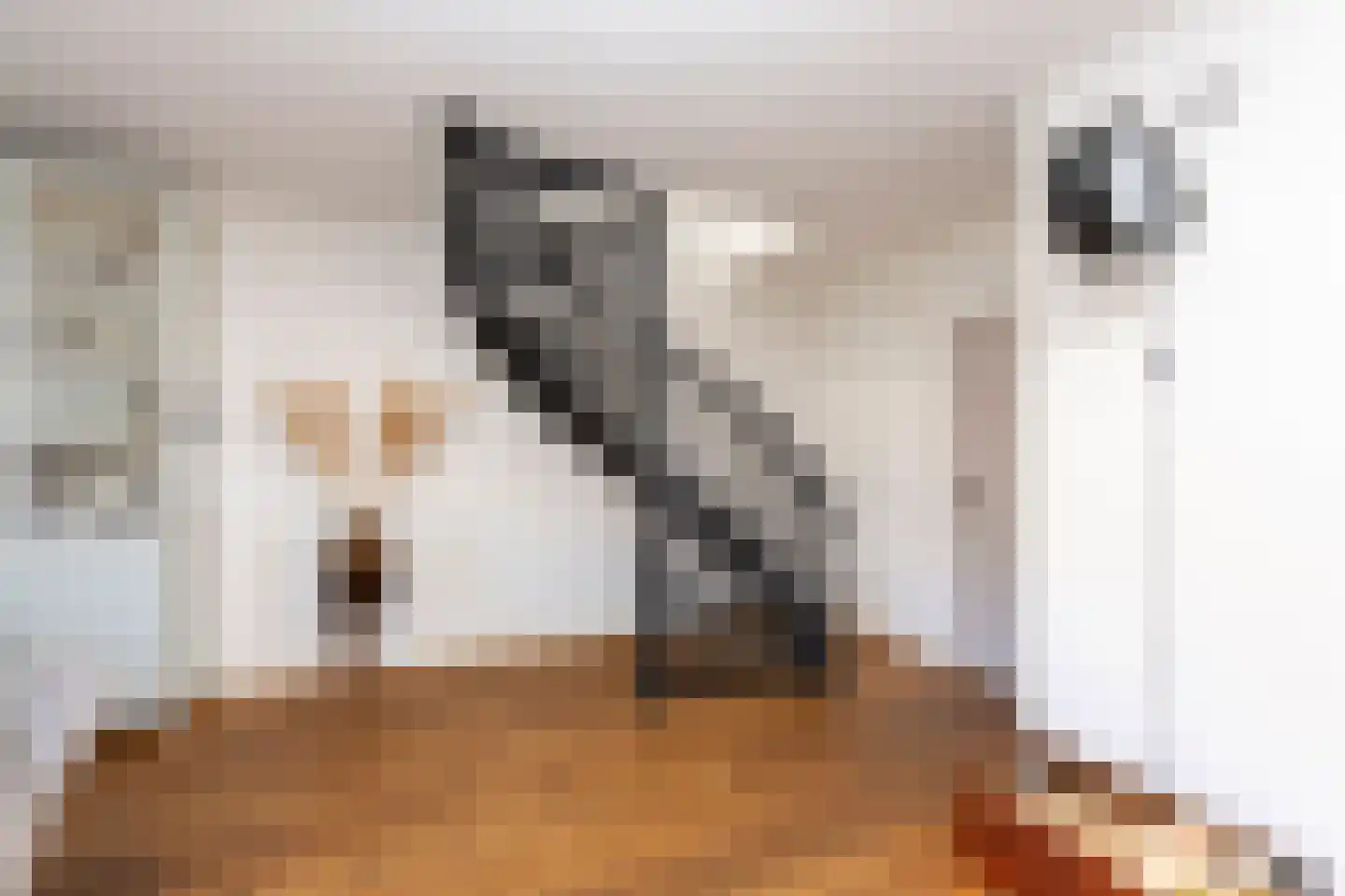 Vinkenslag 3 Hilvarenbeek thumbnail 15