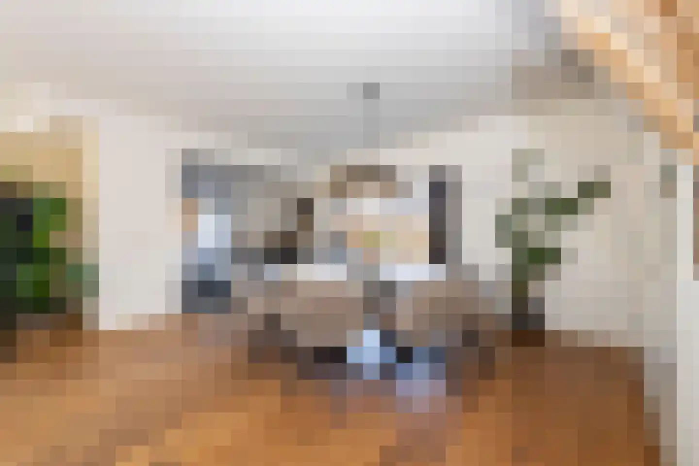 Vinkenslag 3 Hilvarenbeek thumbnail 16