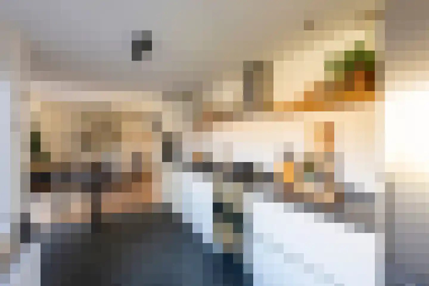 Vinkenslag 3 Hilvarenbeek thumbnail 20