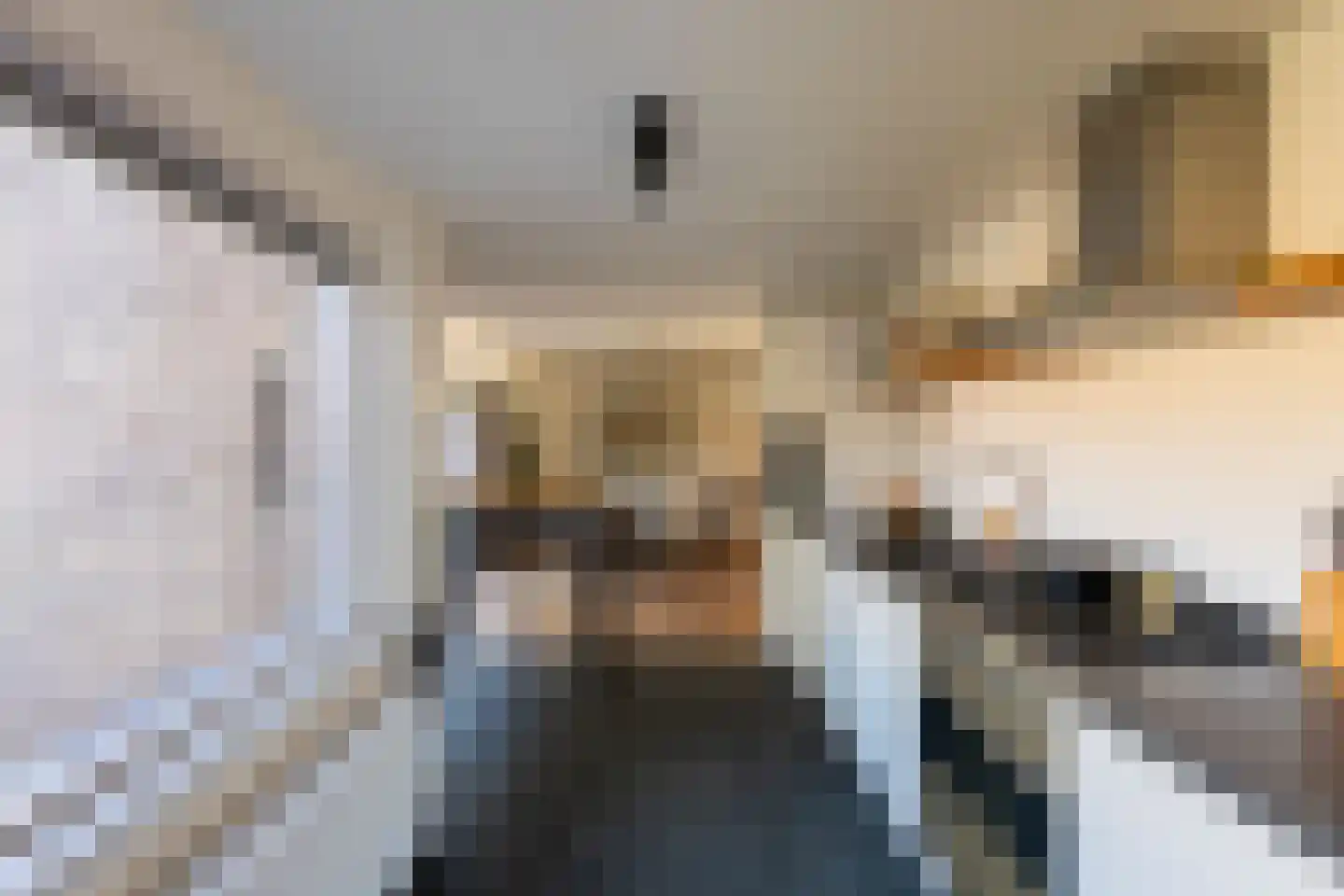 Vinkenslag 3 Hilvarenbeek thumbnail 21