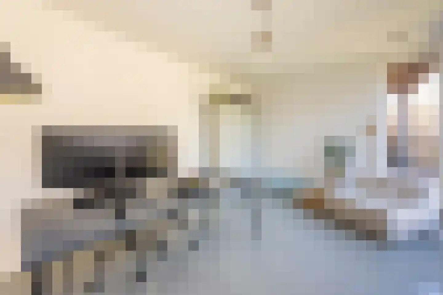 Vinkenslag 3 Hilvarenbeek thumbnail 22