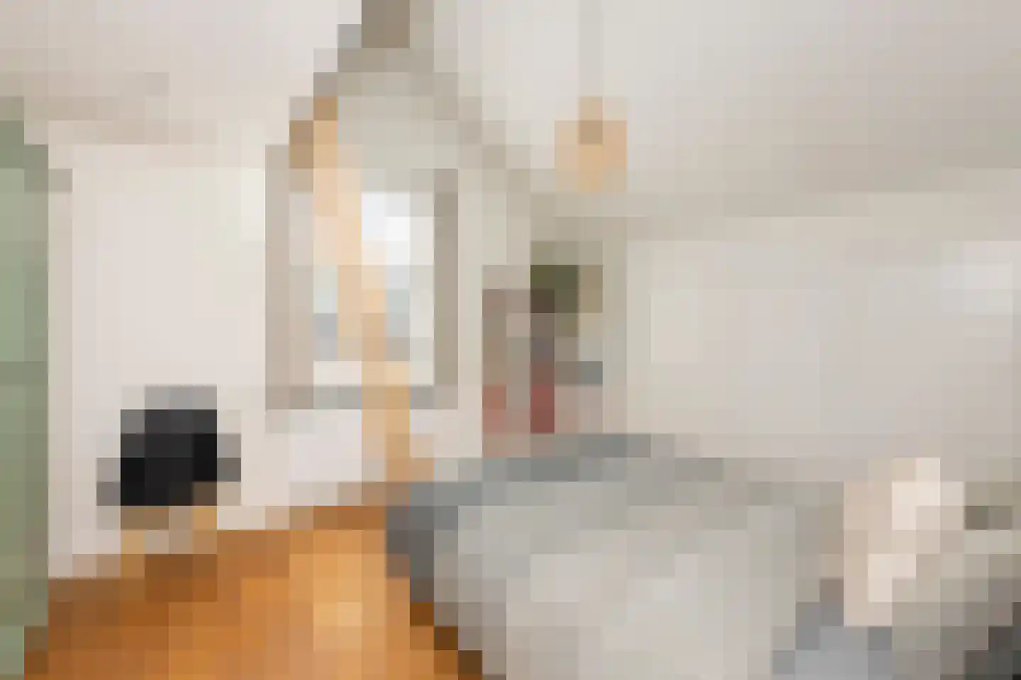 Vinkenslag 3 Hilvarenbeek thumbnail 38