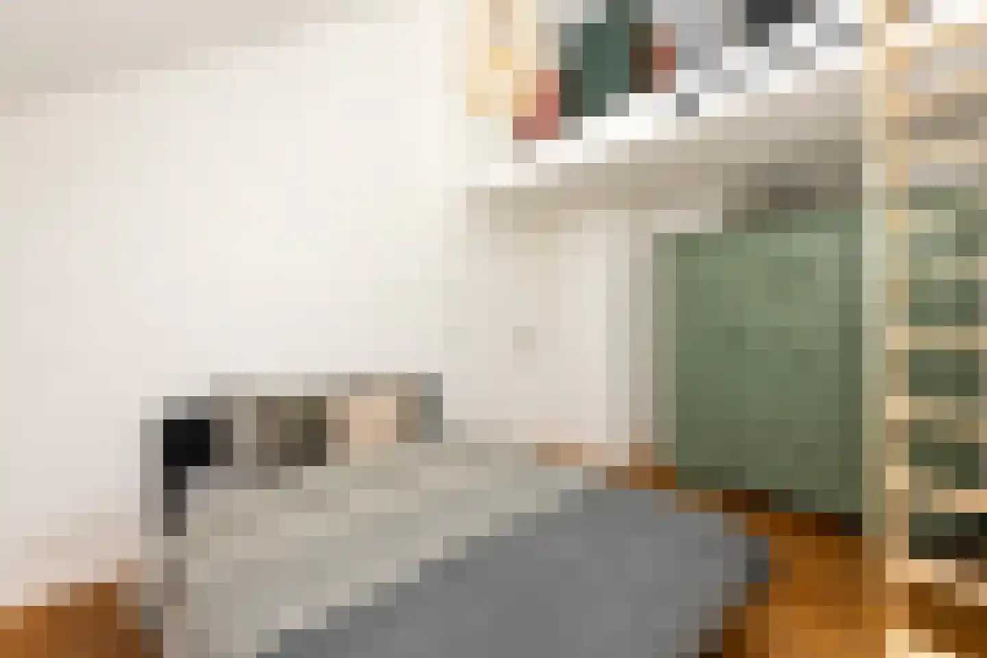 Vinkenslag 3 Hilvarenbeek thumbnail 39