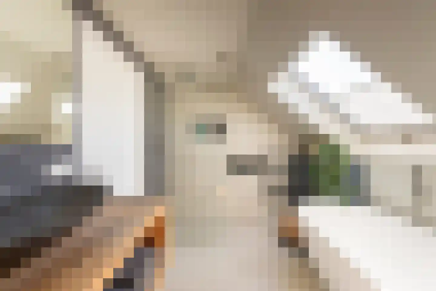 Vinkenslag 3 Hilvarenbeek thumbnail 44