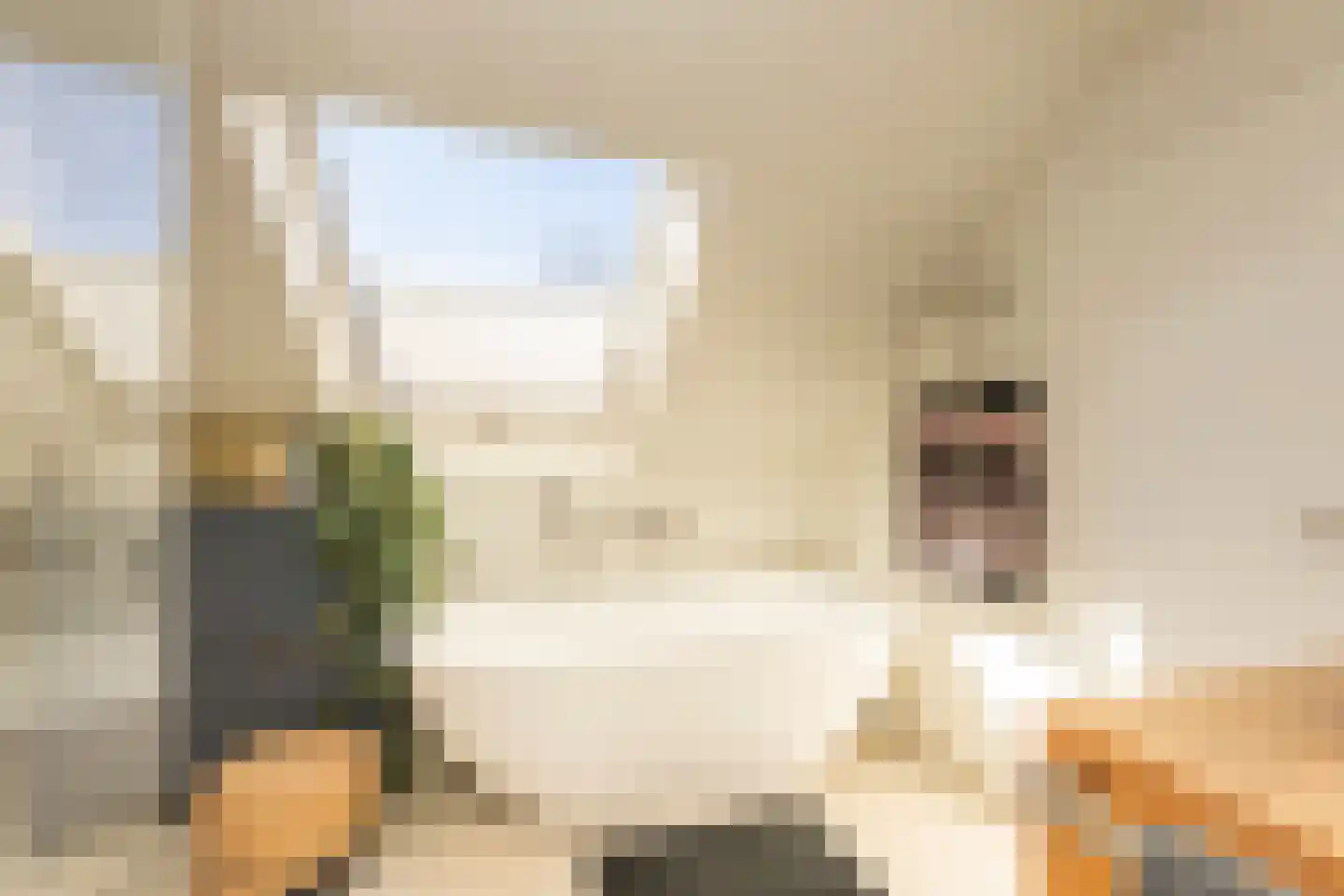 Vinkenslag 3 Hilvarenbeek thumbnail 45