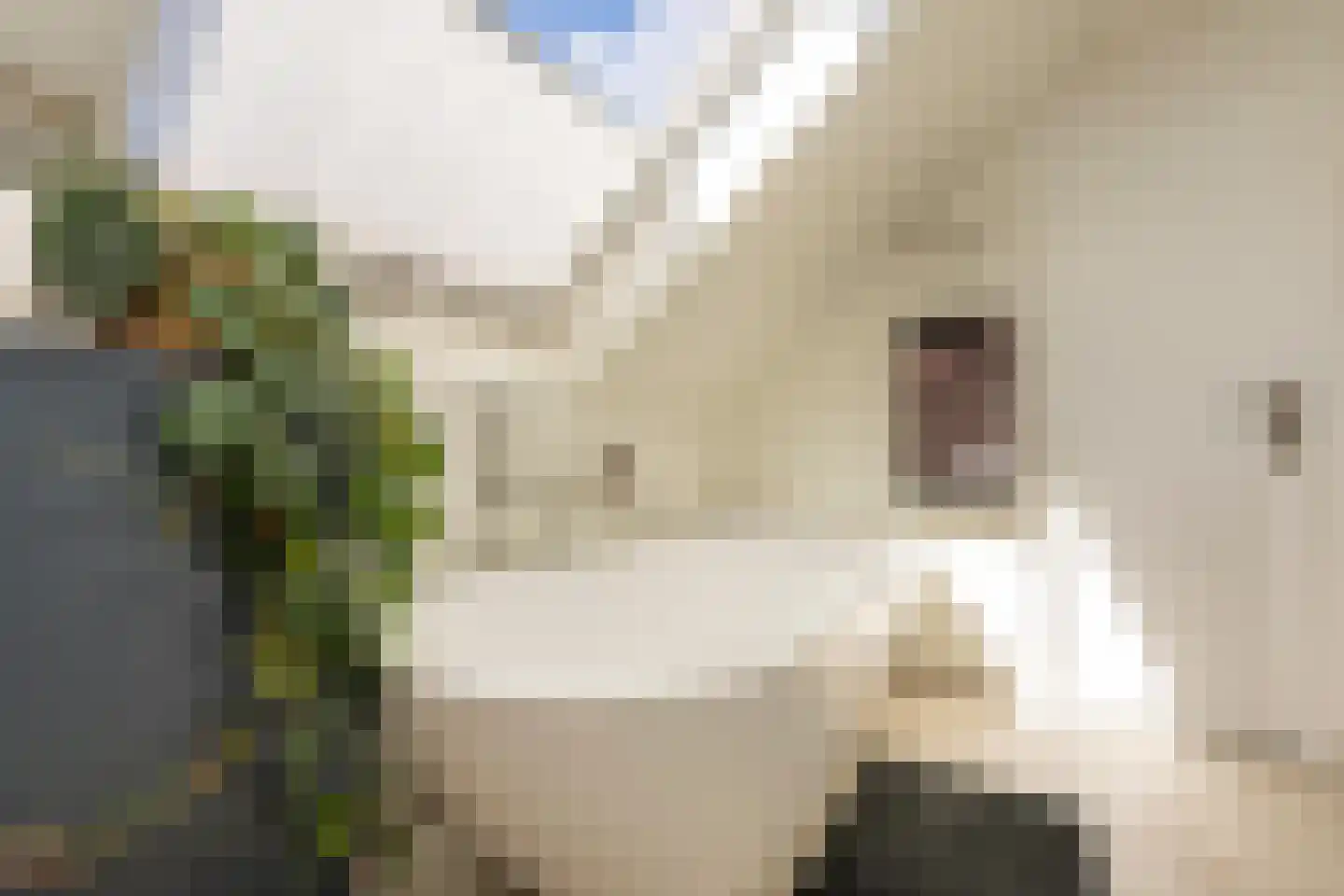 Vinkenslag 3 Hilvarenbeek thumbnail 47