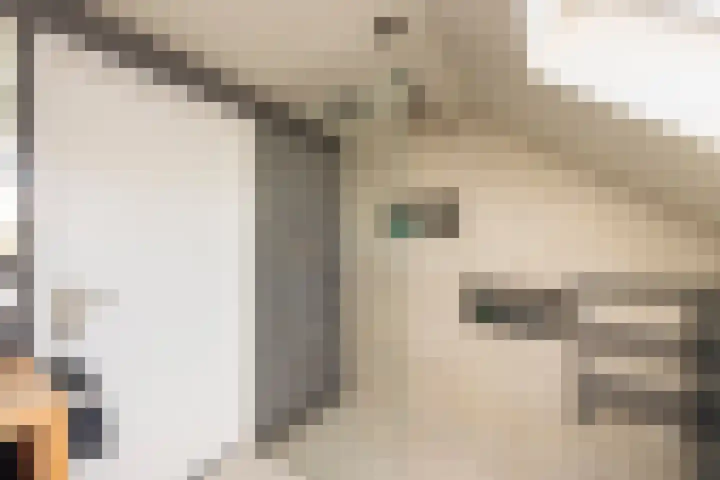 Vinkenslag 3 Hilvarenbeek thumbnail 48