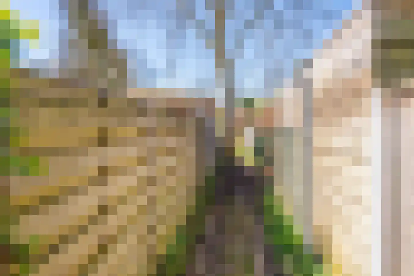 Vinkenslag 3 Hilvarenbeek thumbnail 56