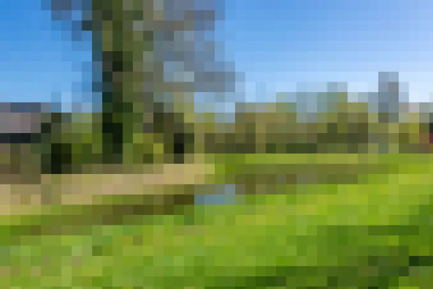 Vinkenslag 3 Hilvarenbeek thumbnail 62