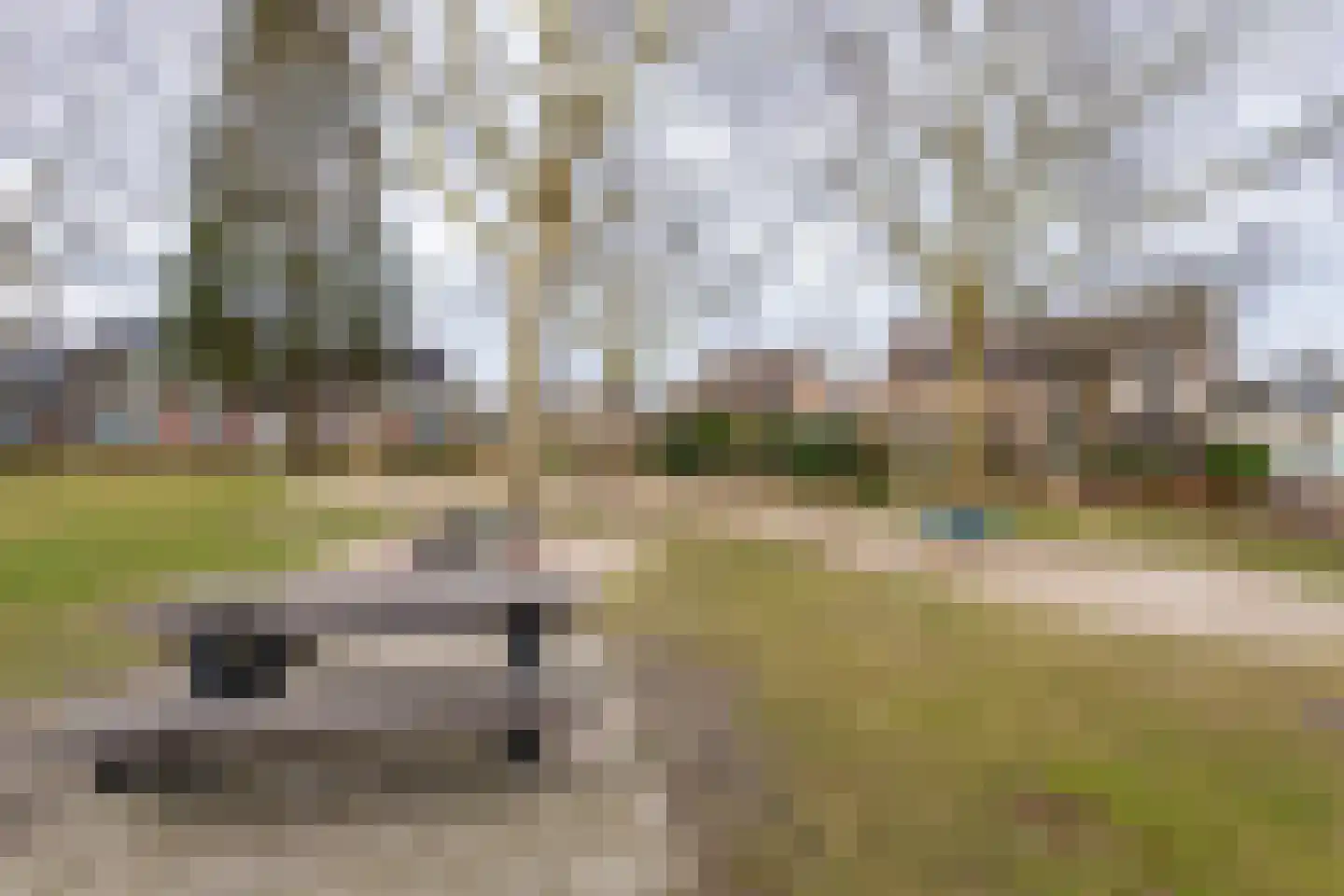 Vinkenslag 3 Hilvarenbeek thumbnail 64