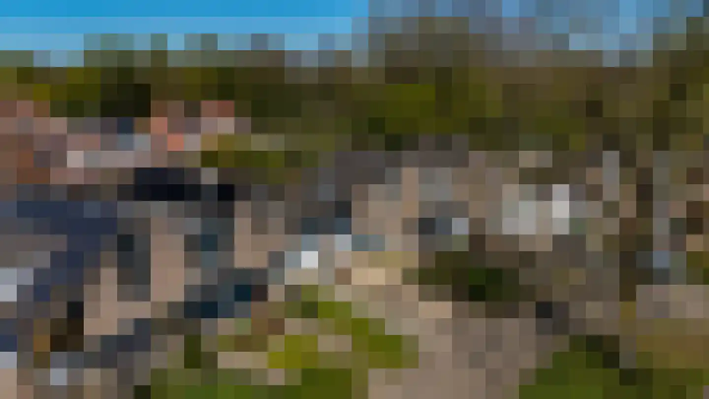 Vinkenslag 3 Hilvarenbeek thumbnail 66