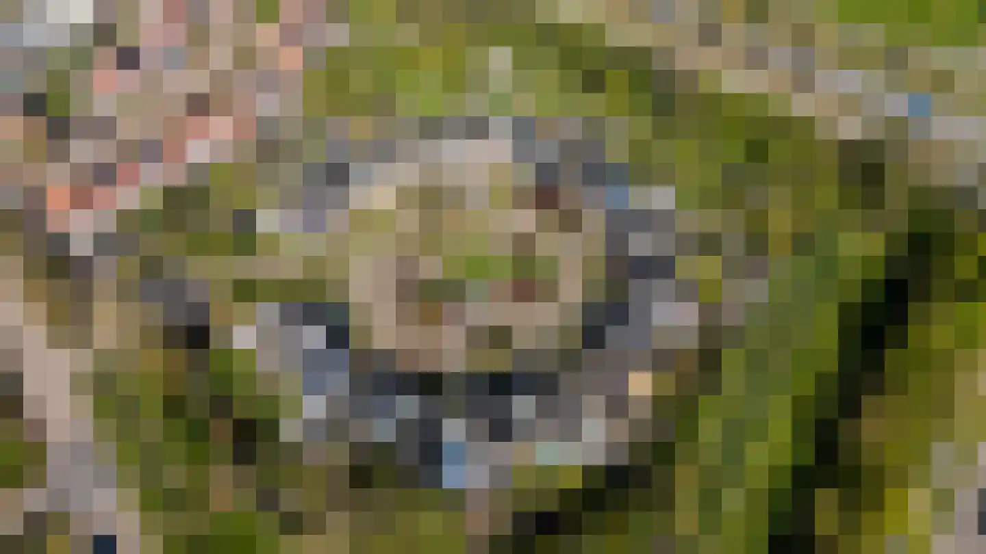 Vinkenslag 3 Hilvarenbeek thumbnail 67