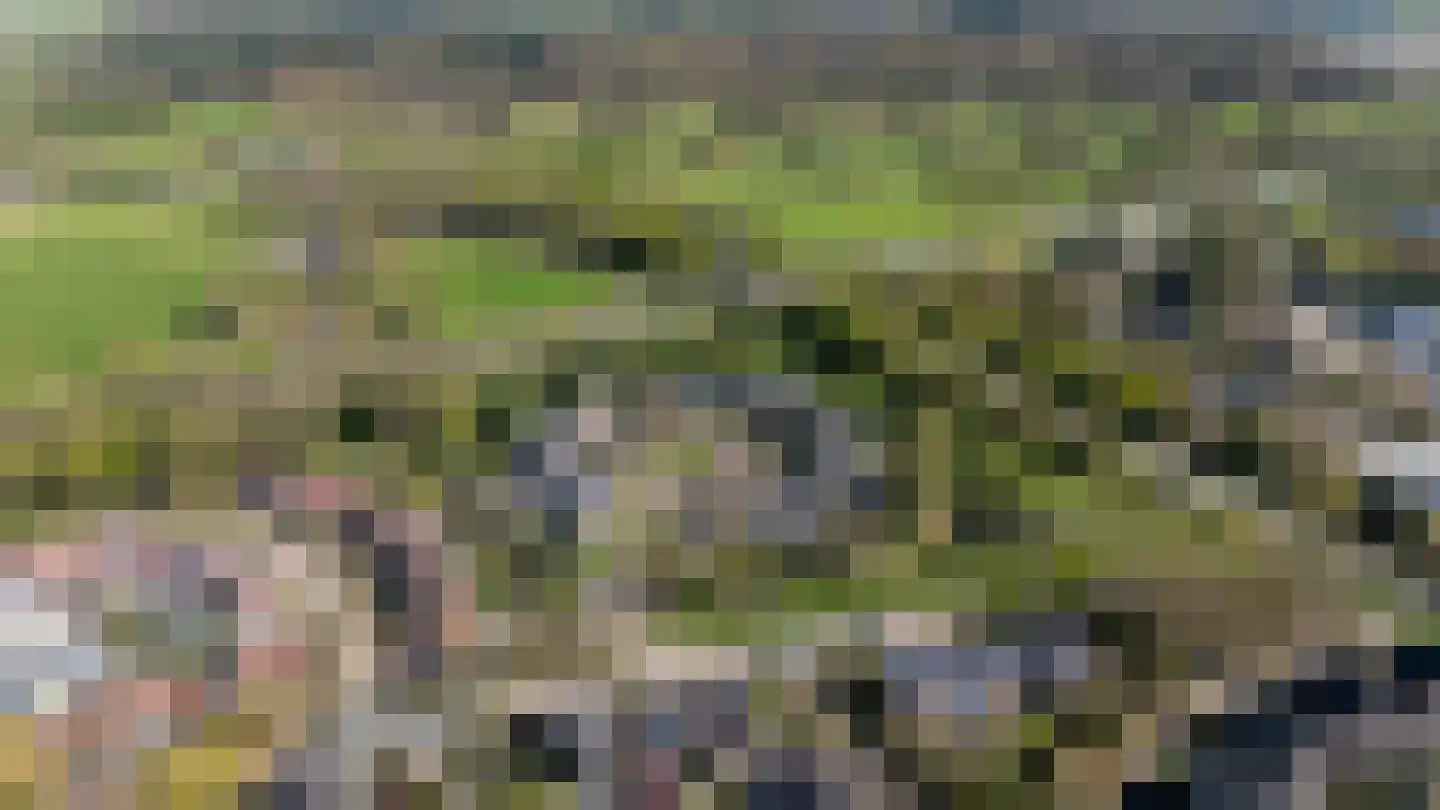 Vinkenslag 3 Hilvarenbeek thumbnail 68