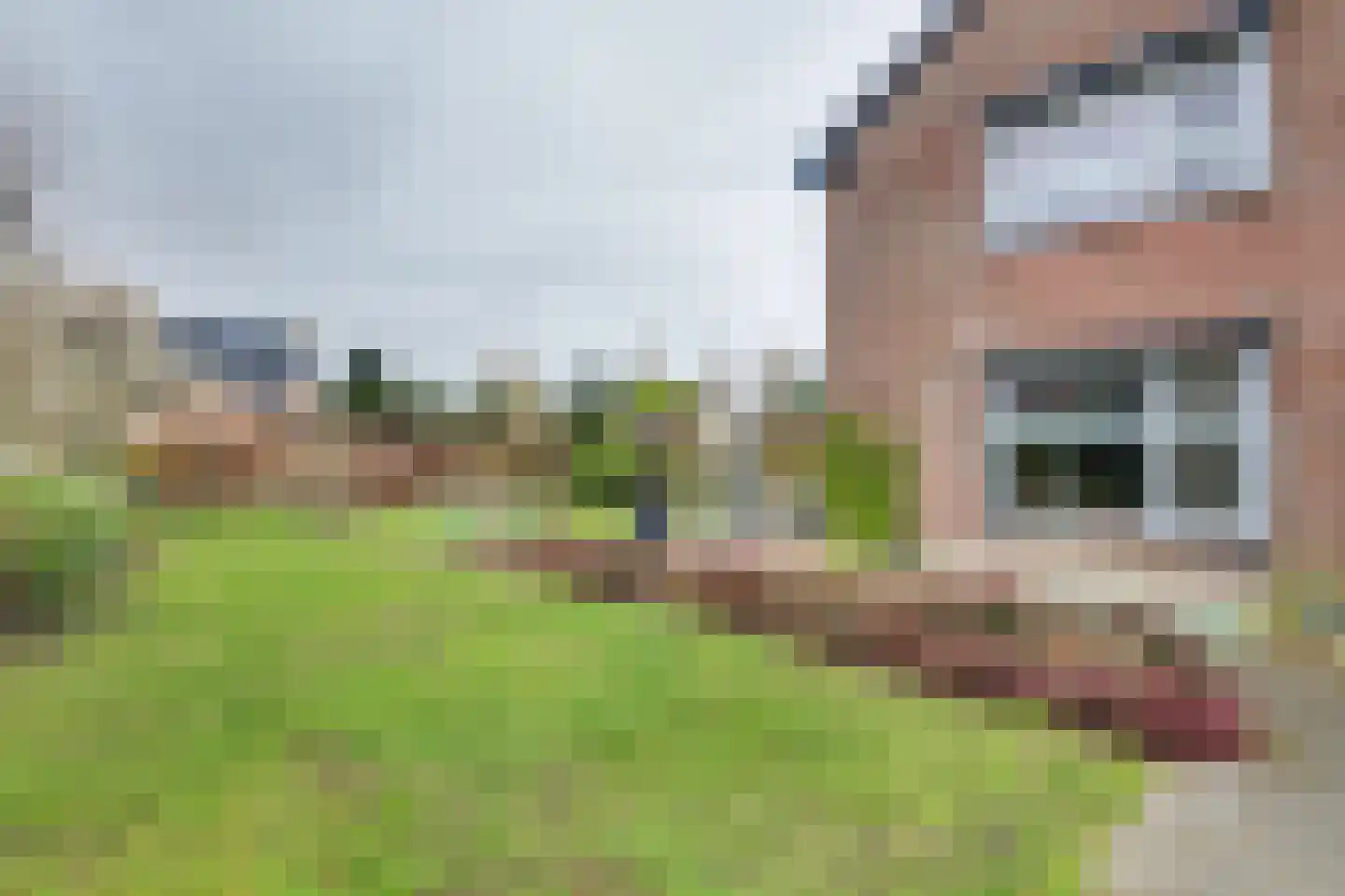 Vinkenslag 36 Oosterhout thumbnail 22