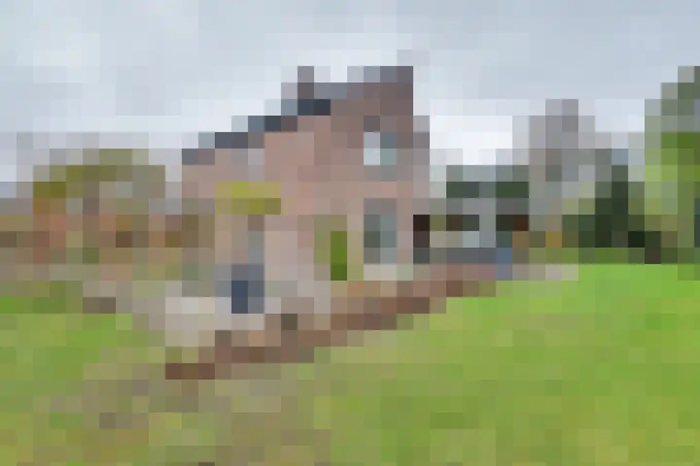 Vinkenslag 36 Oosterhout thumbnail 6