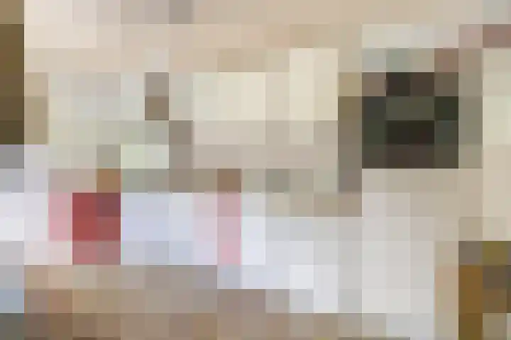 Vinkenslag 8 Hilvarenbeek thumbnail 15