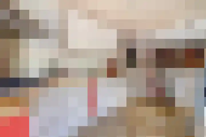 Vinkenslag 8 Hilvarenbeek thumbnail 17