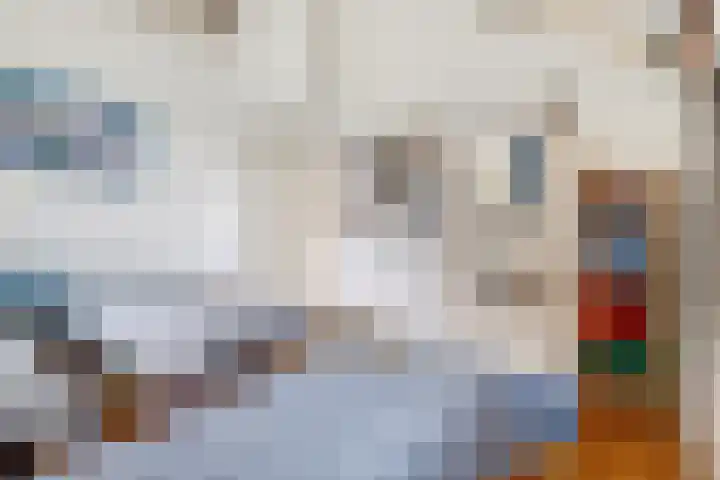 Vinkenslag 8 Hilvarenbeek thumbnail 28